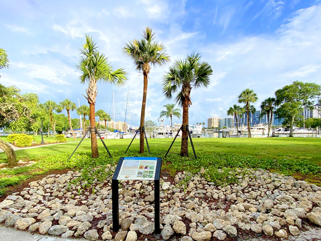 Bayfront Park Sarasota
